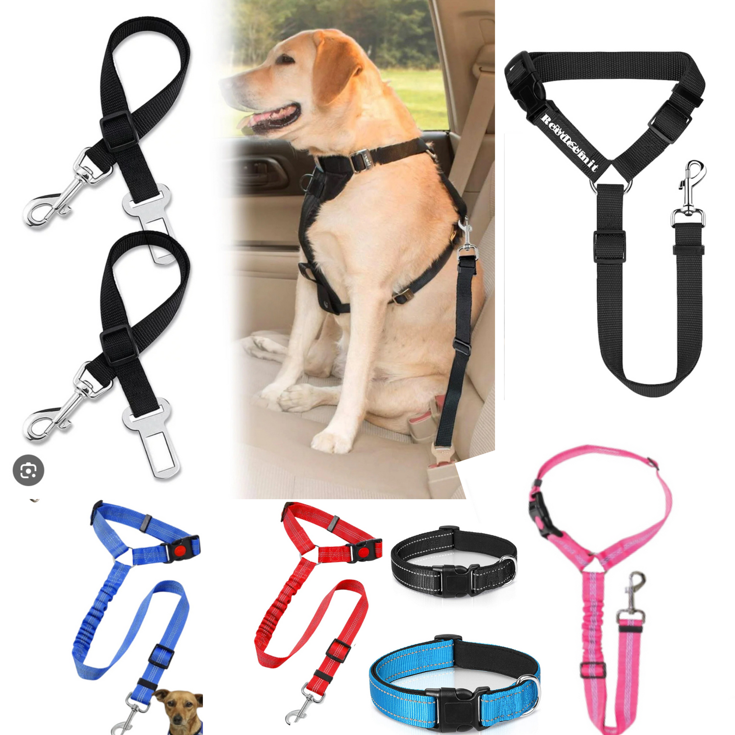 Reflective 2 in 1 Dog Cat Seat Belt Harness Leash and Collar Accessary