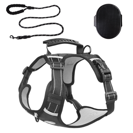 [3 in 1] Heavy Duty Dog Harness, No-Pull Reflective Tough Trim Harness for Small, Medium & Large Dogs - Military Grade Nylon, 2 Leash Clips & Handle with Padded Leash and Brush