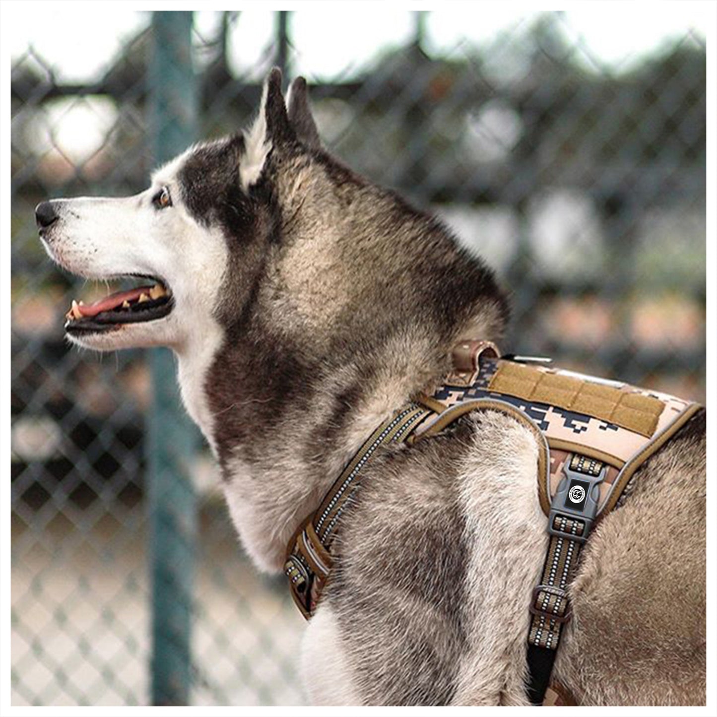 [2 in 1] Tactical Dog Vest Harness with Adjustable D-Ring, along with Heavy Duty Padded Reflective Leash for Small to Large Dogs