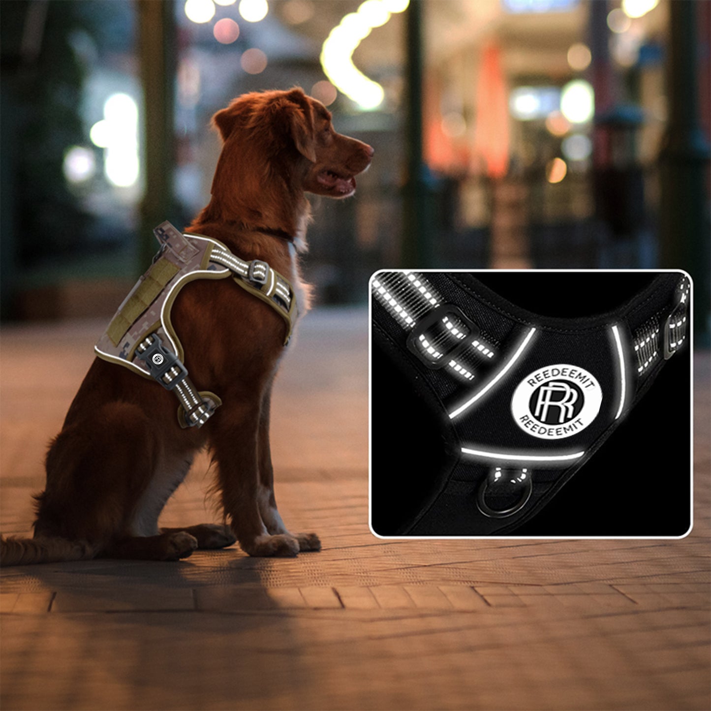 [2 in 1] Tactical Dog Vest Harness with Adjustable D-Ring, along with Heavy Duty Padded Reflective Leash for Small to Large Dogs