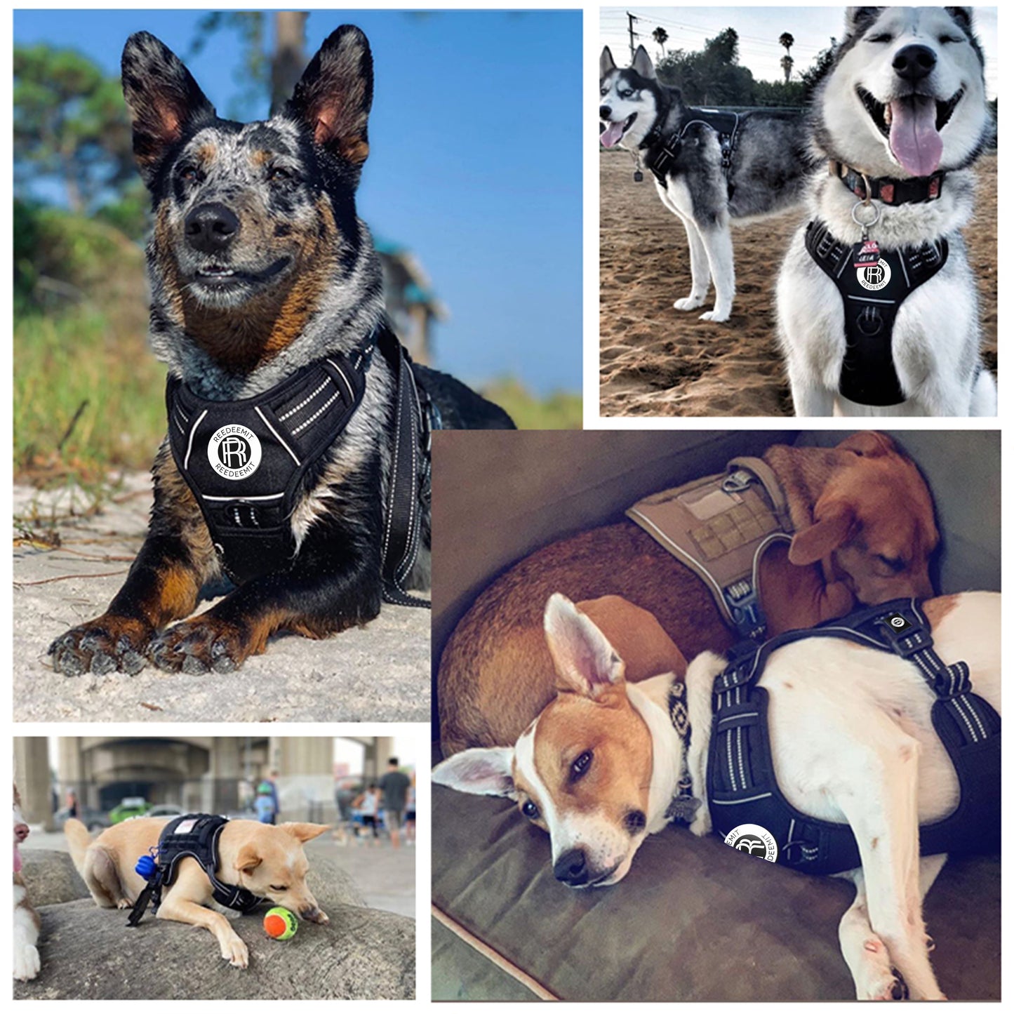 [2 in 1] Tactical Dog Vest Harness with Adjustable D-Ring, along with Heavy Duty Padded Reflective Leash for Small to Large Dogs