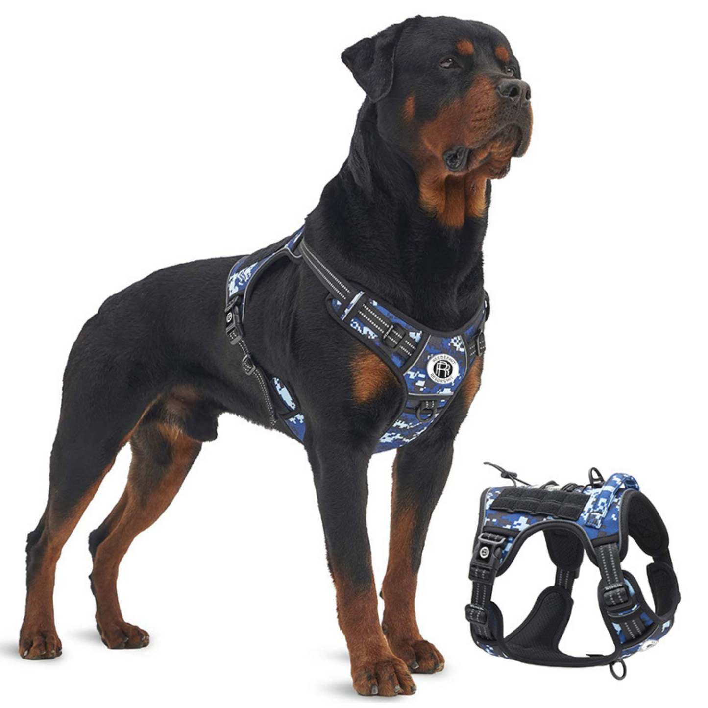 [2 in 1] Tactical Dog Vest Harness with Adjustable D-Ring, along with Heavy Duty Padded Reflective Leash for Small to Medium Dogs