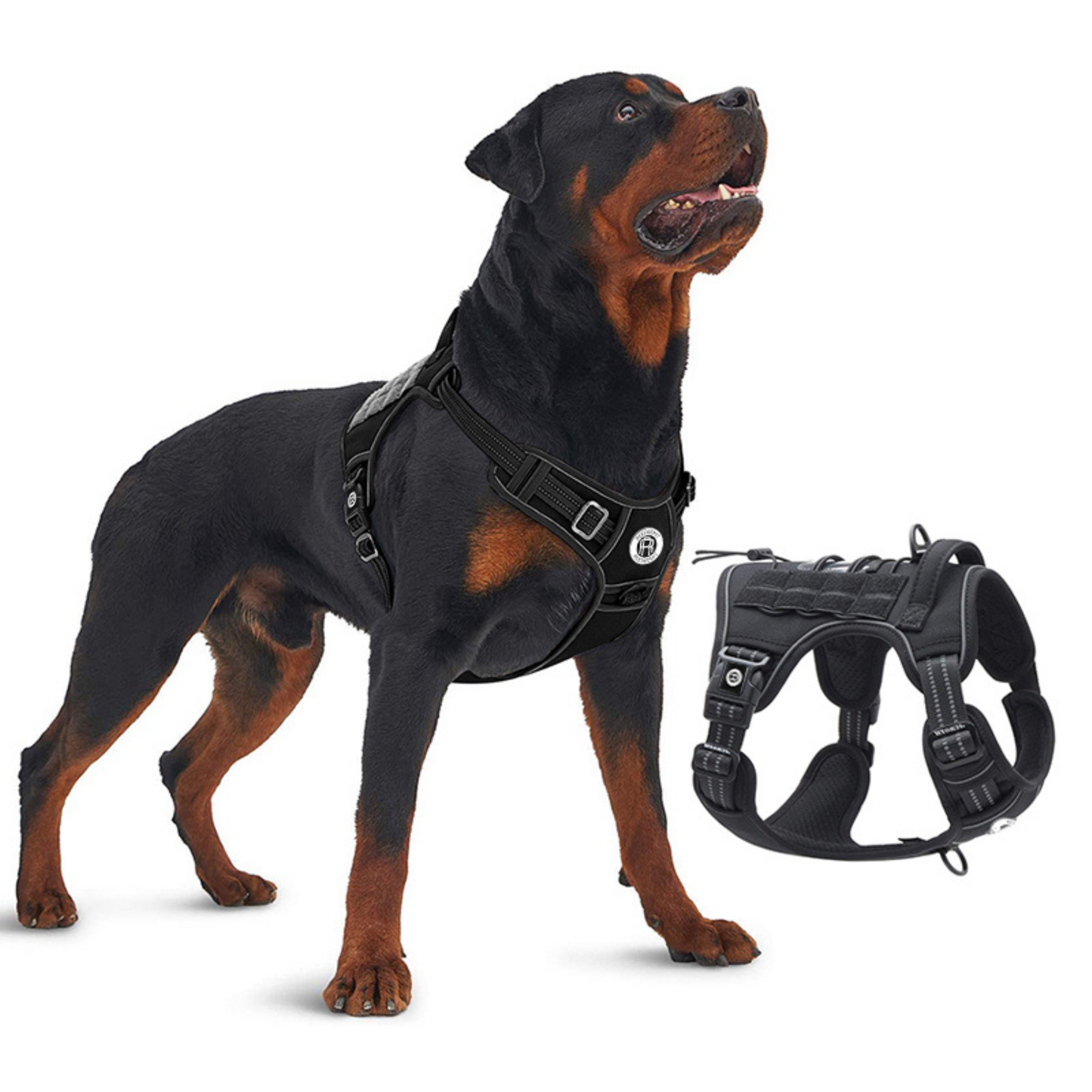 [2 in 1] Tactical Dog Vest Harness with Adjustable D-Ring, along with Heavy Duty Padded Reflective Leash for Small to Large Dogs