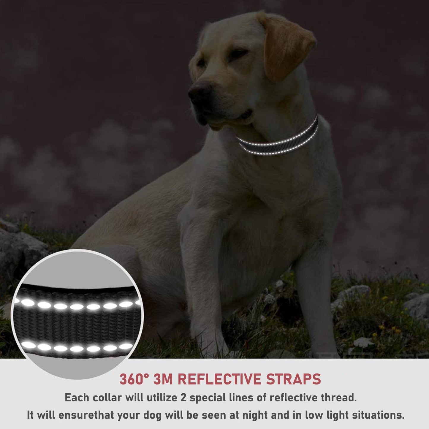 REEDEEMIT Reflective Heavy Duty, Dog Collar,Soft Neoprene Padded Breathable Nylon Pet Collar (Small)