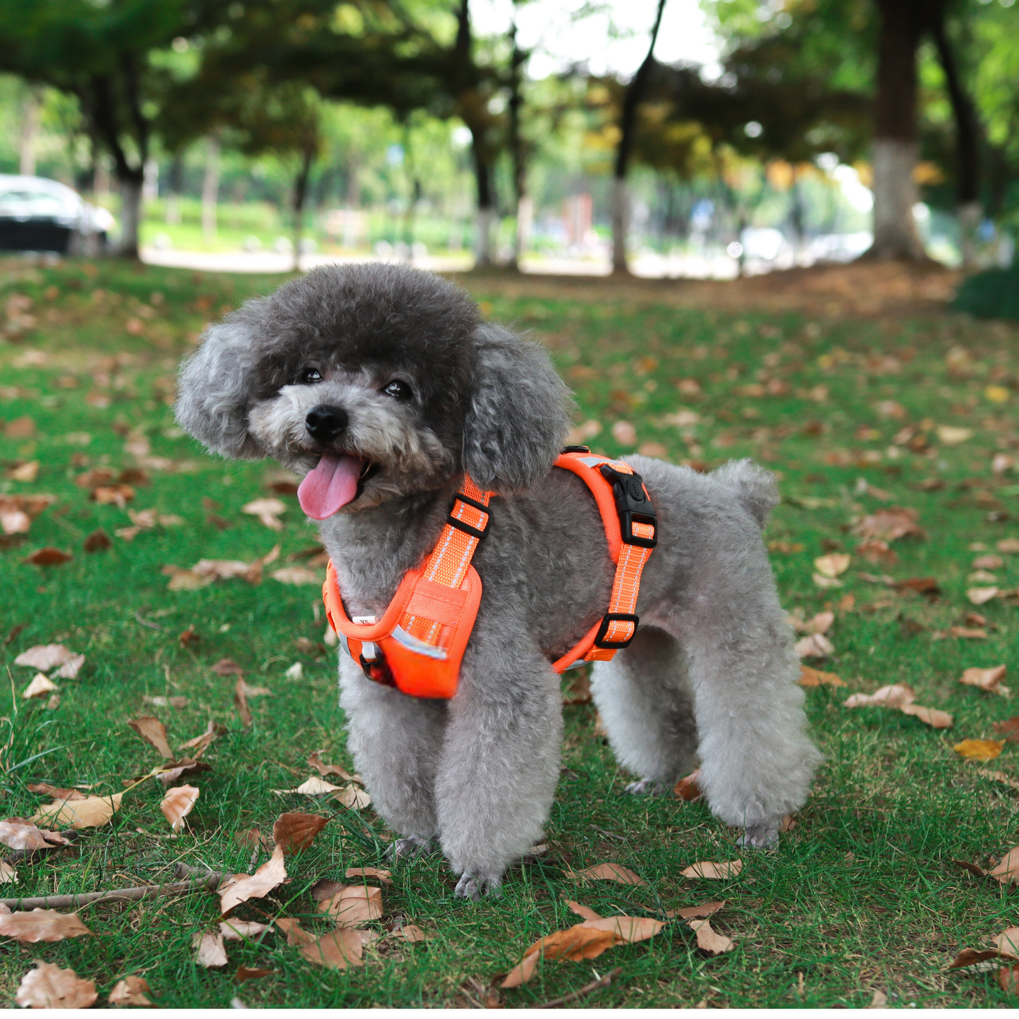 [3 in 1] Heavy Duty Dog Harness, No-Pull Reflective Tough Trim Harness for Small, Medium & Large Dogs - Military Grade Nylon, 2 Leash Clips & Handle with Padded Leash and Brush